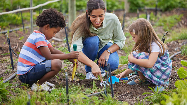 Teaching climate change and sustainability at Primary