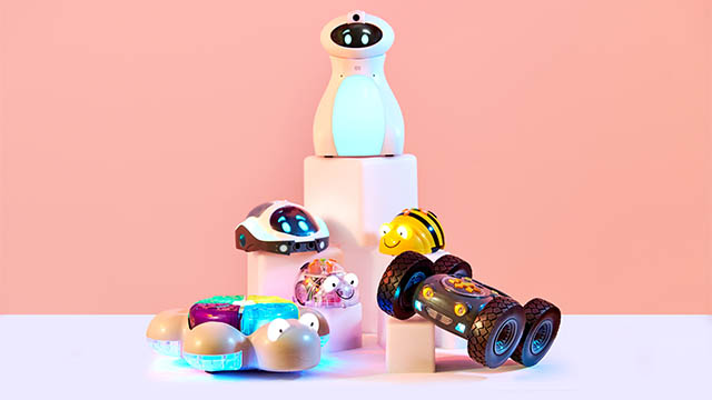 Programmable Robots
