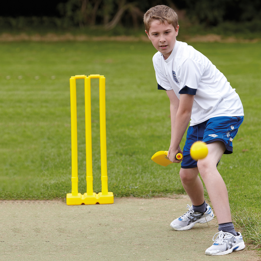 Cricket